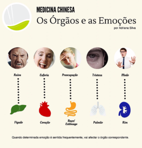 Os órgãos e as emoções