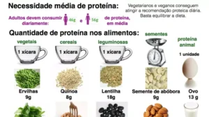 Tabela com proteína vegetal nos alimentos